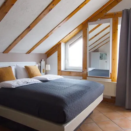 فندق Smart Giessen Gmbh Und Appartments Wettenberg