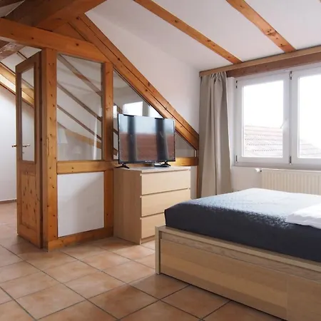 Smart Giessen Gmbh Und Appartments * Wettenberg