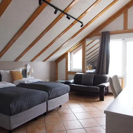 Smart Giessen Gmbh Und Appartments *