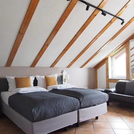 فندق Smart Giessen Gmbh Und Appartments